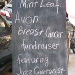 mint-leaf-3-150x150 Pam May / Mechel Henry Fundraiser at Mint Leaf Wine Bar